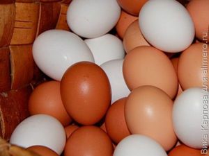 Куриные яйца