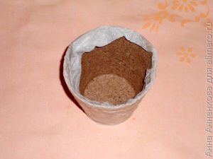Декор торфяного горшка