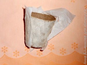 Декор торфяного горшка
