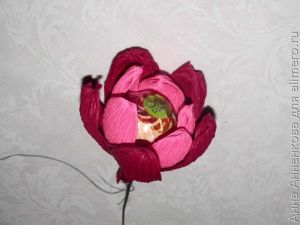 Георгины с конфеткой