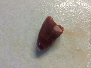 Жаркое из куриных потрошков