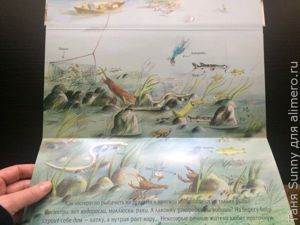 Обзор книги