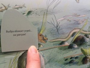 Обзор книги