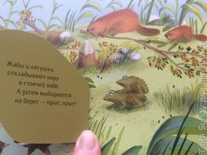Обзор книги