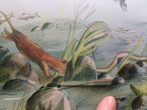 Обзор книги