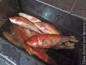 Барабулька жареная на рисе с цветной капустой