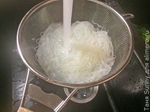 Фунчёза быстрая самостоятельная