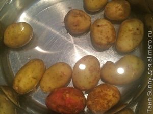 Тайский салат с телятиной