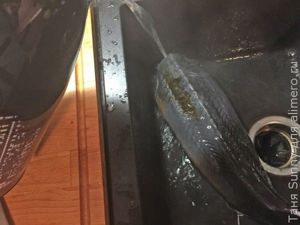 Осетр целиком жареный в духовке