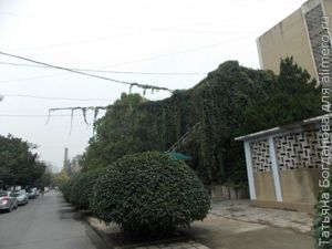 Поездка в Китай