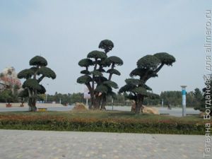 Парки Китая