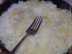 Картофельная лепешка