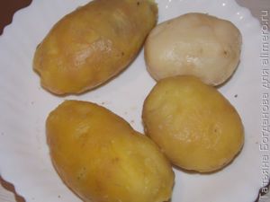 Картофельная лепешка