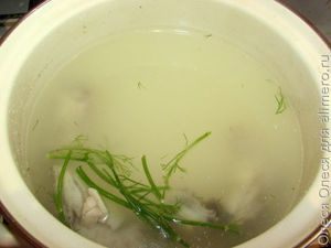 куриная лапша