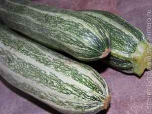 Фаршированные кабачки