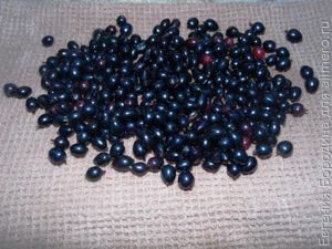 Маффины со смородиной