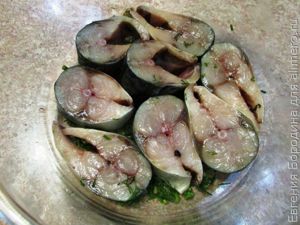 скумбрия в горчично-укропном маринаде