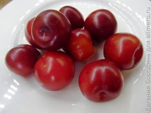 Шах-плов