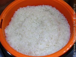 Шах-плов