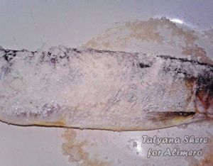 Селедка соленая