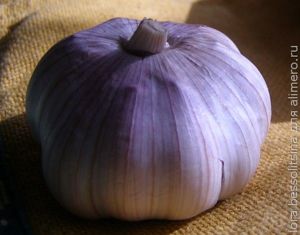 икра из овощей с грядки, чеснок икра из овощей с грядки, чеснок