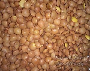 Салат из пекинской капусты с проростками