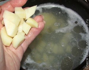 рыбный суп