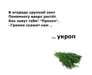 Загадки о фруктах, ягодах и овощах.