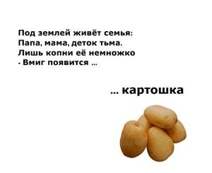 Загадки о фруктах, ягодах и овощах.