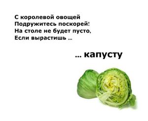 Загадки о фруктах, ягодах и овощах.