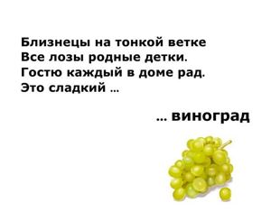Загадки о фруктах, ягодах и овощах.