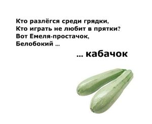 Загадки о фруктах, ягодах и овощах.