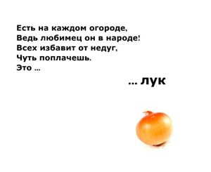 Загадки о фруктах, ягодах и овощах.