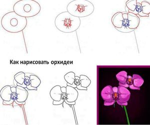 Рисуем цветы, мастер-классы.