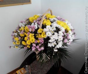 цветы цветы