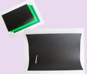 Изобразите на бумаге черного цвета лист монстеры. Если вы не умеете хорошо рисовать, можно для этой цели воспользоваться принтером. Изобразите на бумаге черного цвета лист монстеры. Если вы не умеете хорошо рисовать, можно для этой цели воспользоваться принтером.