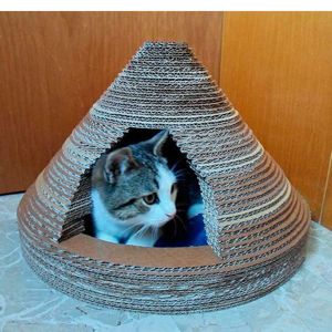 Кошка и дрессировка - не такие уж несовместимые понятия. Всего за пару дней кошка может выдрессировать кого угодно. Кошка и дрессировка - не такие уж несовместимые понятия. Всего за пару дней кошка может выдрессировать кого угодно.