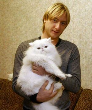 Евгений Плющенко, российский фигурист, и его кот Пухлик. Евгений Плющенко, российский фигурист, и его кот Пухлик.
