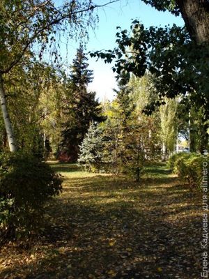 Парк в Миллерово