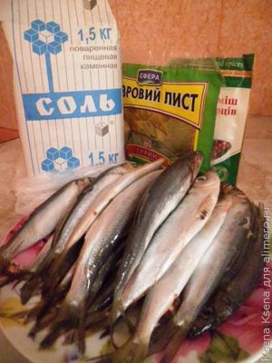 соленые шпроты