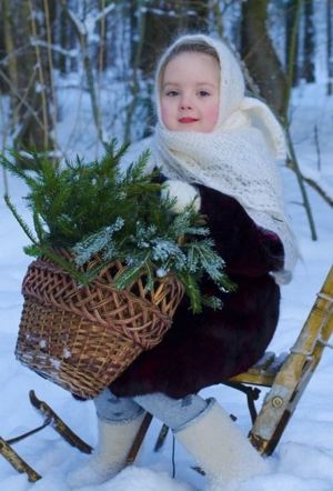 Лес, корзинка, санки, еловые ветки - на фото зимнее и предпраздничное настроение. Лес, корзинка, санки, еловые ветки - на фото зимнее и предпраздничное настроение.