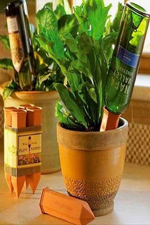 Стеклянные бутылки в интерьере