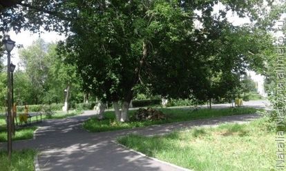гуляем в парке гуляем в парке