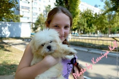 собачка и девочка собачка и девочка
