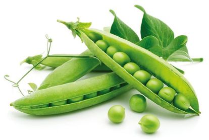 6. Зеленый горошек и кукуруза. Свежий горошек или кукурузу сначала нужно вылущить. Затем опустить в кипящую воду и проварить 3-5 минут. Откинуть на дуршлаг и сразу промыть холодной проточной водой. После того как лишняя вода стечет и горох или кукуруза обсохнут – разложить по пакетам и заморозить. 6. Зеленый горошек и кукуруза. Свежий горошек или кукурузу сначала нужно вылущить. Затем опустить в кипящую воду и проварить 3-5 минут. Откинуть на дуршлаг и сразу промыть холодной проточной водой. После того как лишняя вода стечет и горох или кукуруза обсохнут – разложить по пакетам и заморозить.