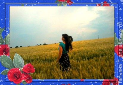 Девушка в поле Девушка в поле