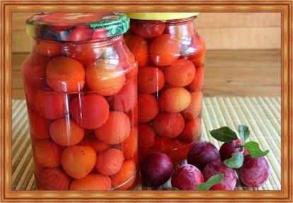 9. Компот из алычи. Накладывать плоды можно или по плечики банки, или только на дно, чтобы больше было компота. Сварить сироп - на 1 литр воды стакан сахара (по вкусу можно больше). Фрукты помыть, наколоть в 2-3 местах и положить в тару. Залить и стерилизовать 3-х литровые бутыли 15 - 20 минут, литровые 10 минут. Закатать. 9. Компот из алычи. Накладывать плоды можно или по плечики банки, или только на дно, чтобы больше было компота. Сварить сироп - на 1 литр воды стакан сахара (по вкусу можно больше). Фрукты помыть, наколоть в 2-3 местах и положить в тару. Залить и стерилизовать 3-х литровые бутыли 15 - 20 минут, литровые 10 минут. Закатать.