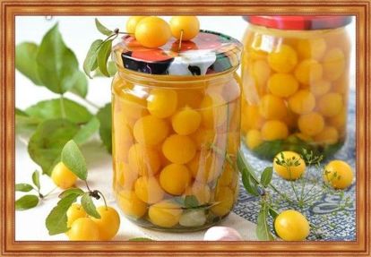 13. Маринованная алыча. Алыча - 0.25 кг, чеснок - 2 зубчика, соль - 10 г, сахар - 15 г, уксусная эссенция - 0.5 ч. л, душистый перец - 2 шт, лавровый лист - 1 шт. Алычу промыть и оставить просохнуть. В стерильные баночки положить подготовленные специи, алычу и чеснок и залить кипятком. Через 5 минут воду слить в кастрюльку и приготовить маринад: добавить сахар и соль, довести до кипения и влить укус. Залить маринад в банку и закатать. 13. Маринованная алыча. Алыча - 0.25 кг, чеснок - 2 зубчика, соль - 10 г, сахар - 15 г, уксусная эссенция - 0.5 ч. л, душистый перец - 2 шт, лавровый лист - 1 шт. Алычу промыть и оставить просохнуть. В стерильные баночки положить подготовленные специи, алычу и чеснок и залить кипятком. Через 5 минут воду слить в кастрюльку и приготовить маринад: добавить сахар и соль, довести до кипения и влить укус. Залить маринад в банку и закатать.