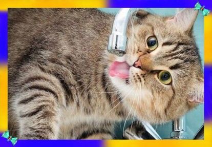 15. Возможности нашего тела можно описать правилом «трех». Три минуты вы можете продержаться без воздуха, три часа — без крова в экстремальных погодных условиях, три дня — без воды, три недели — без пищи. 15. Возможности нашего тела можно описать правилом «трех». Три минуты вы можете продержаться без воздуха, три часа — без крова в экстремальных погодных условиях, три дня — без воды, три недели — без пищи.