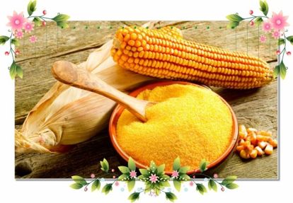 19. Маска из кукурузной муки и молока. Возьмите две столовые ложки кукурузной муки, добавьте в нее столько молоко, чтобы в результате получилась густая масса. Круговыми движениями нанесите маску на лицо по направлению снизу вверх. Оставьте маску до полного высыхания, смойте прохладной водой. Эта маска избавляет от жирного блеска и действует как антисептик. 19. Маска из кукурузной муки и молока. Возьмите две столовые ложки кукурузной муки, добавьте в нее столько молоко, чтобы в результате получилась густая масса. Круговыми движениями нанесите маску на лицо по направлению снизу вверх. Оставьте маску до полного высыхания, смойте прохладной водой. Эта маска избавляет от жирного блеска и действует как антисептик.